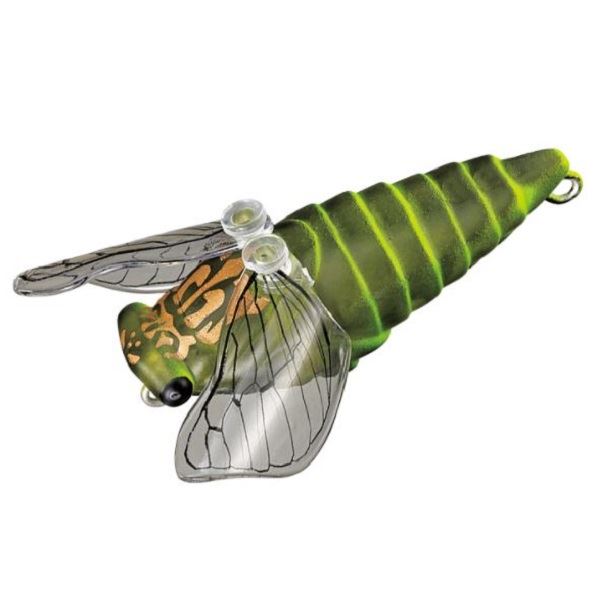 �X�~�X �g���E�g�v���O ����� �_�C�r�Z�� 35.���u�`���[�g