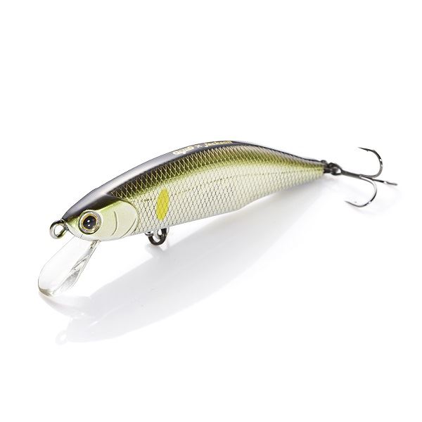 �W���N�\�� �g���E�g�v���O ���e�I�[�� 70 NA2 �i�`�������A��2