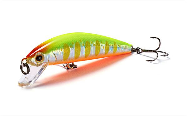 �W���N�\�� �g���E�g�v���O �g���E�g�`���[�� 55F CYW �`���[�g���}��