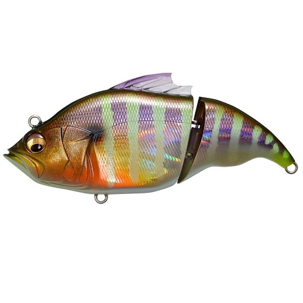 ���K�o�X�@���@�^���I���i�e�j�@�f�f�@�M��