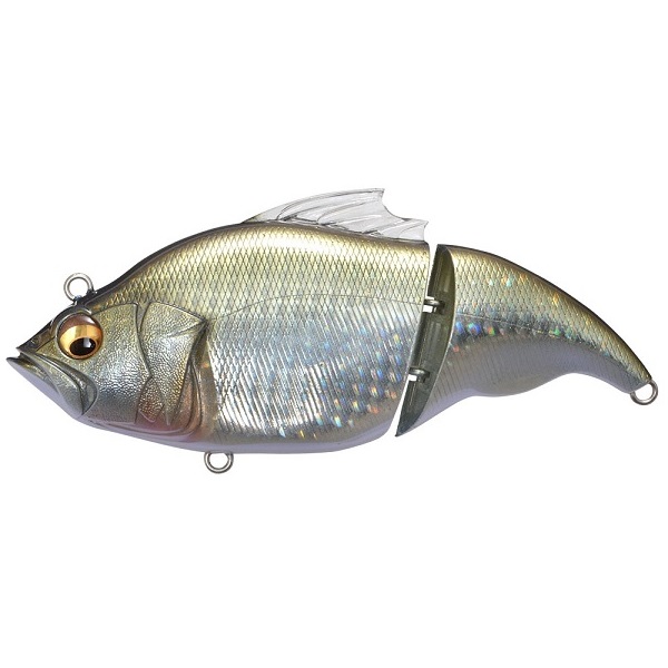 ���K�o�X�@���@�^���I���i�e�j�@�f�f�@�M���u�i