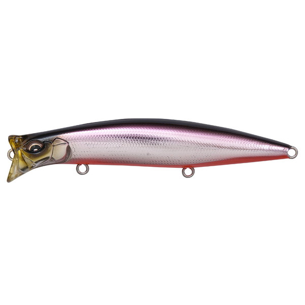 ���K�o�X �V�[�o�X���A�[ �L�����W�iKIRINJI�j 120 M �J�^�N�`RB�y���������z