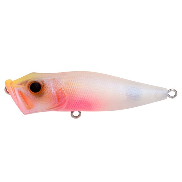 ���K�o�X �o�X���A�[ �|�b�vX �x�r�[�L���M���y���������z