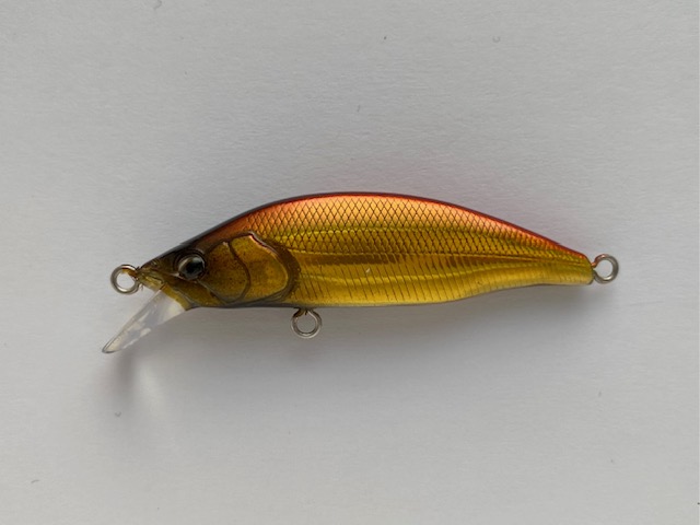 ���J�C �g���E�g�v���O ����(�r�J�[)50S �A�J�L��