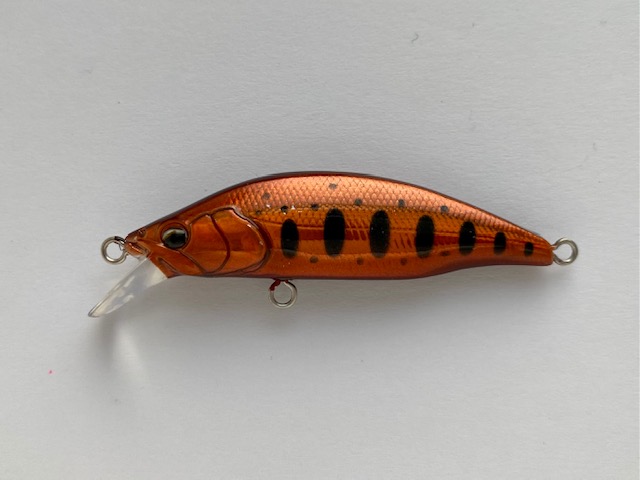 ���J�C �g���E�g�v���O ����(�r�J�[)50S �R�b�p�[�R����