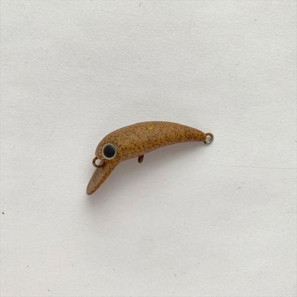 ���J�C �g���E�g�v���O �g���� �X����28MR SS ��^�����̉a