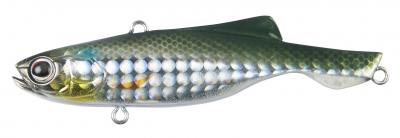 �p�Y�f�U�C�� ���[�h �f�B�u���iDIBULE�j65TG�@214�@���