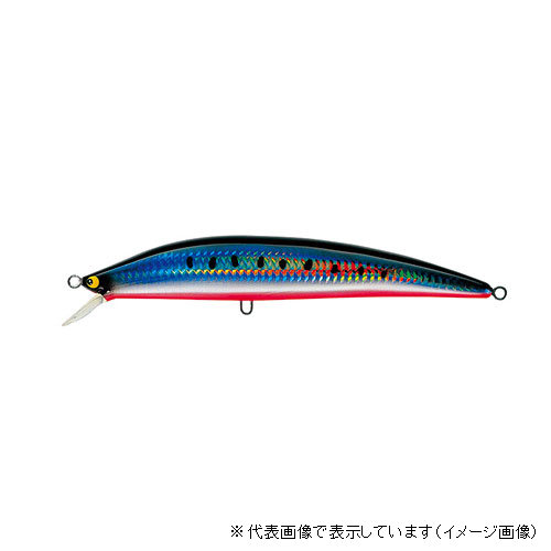 タックルハウス K-TEN BK175SW No．RS14R イワシ