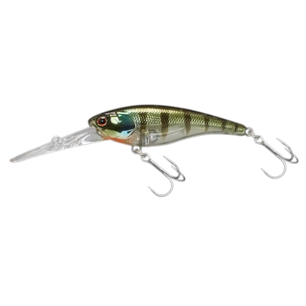 �W���b�J���@�\�E���V���b�h�@�U�Q�c�c�q�@�r�o�@����M��