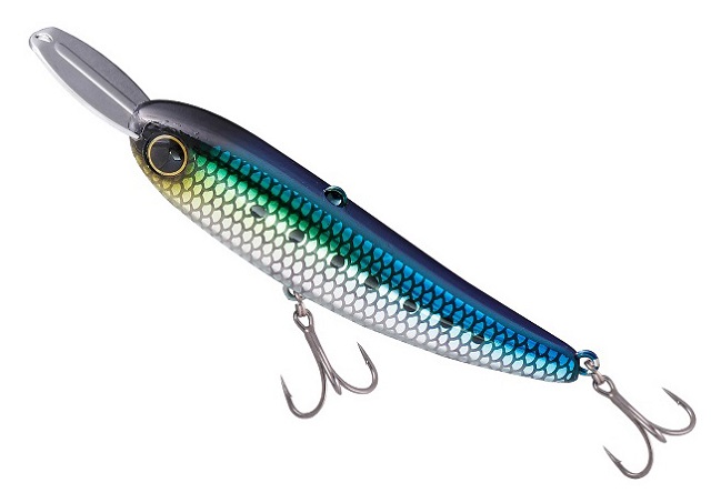 �W���b�J���@���C�U�[�x�C�g�@�O�O�W�@�i�}�C���V