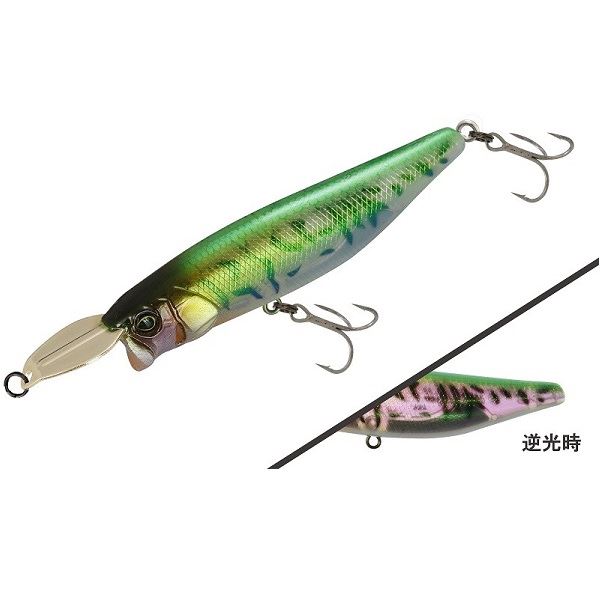 �W���b�J�� ���C�U�[�x�C�g 009P POL�X�e���X���C��