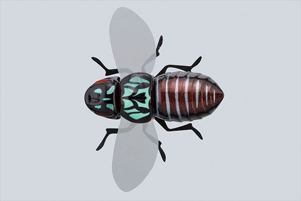 ジャッカル バグドッグ 新色2色セット JACKALL - No.315新品ジャッカル バグドッグ 2個セット BUGDOGの