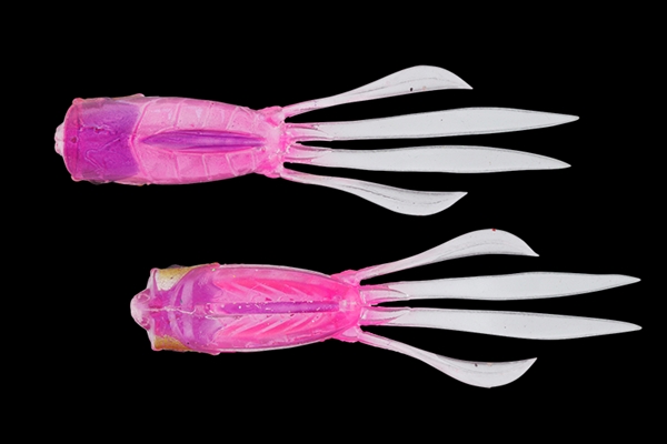 �y�l�R�|�X�Ώەi�z�W���b�J�� RV-���b�V���A���[ 3.8�C���` �N���A�[�s���N�i�`�������y���������z