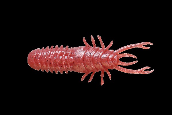 �y�l�R�|�X�Ώەi�z�W���b�J�� ��������60 �y�~�~�Y�y���������z