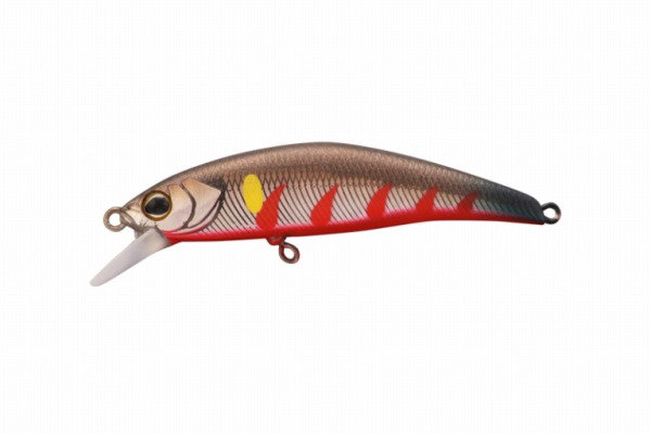 �y�l�R�|�X�Ώەi�zTIMON(�e�B����) �g���R���[��GT 56SR-F �S�㈼ ���