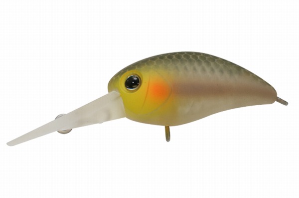 �y�����z�y�l�R�|�X�Ώەi�z�e�B����(�W���b�J��) �p�j�N��DR �É����l