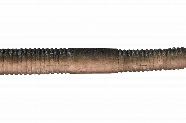 �W���b�J���@�t���b�N�V�F�C�N�@�S�D�W�Q�g�[���@�i�`�������^�v���u���[