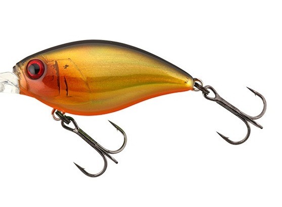 �W���b�J���@�u���b�N���b�p�[�@�S�W�r�q�@�_�u���N���b�`����