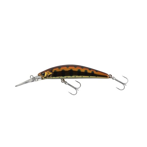 �W���b�J�� �g���E�g�v���O �g���R���[��GT 72DR-F HL�R�b�p�[���}��