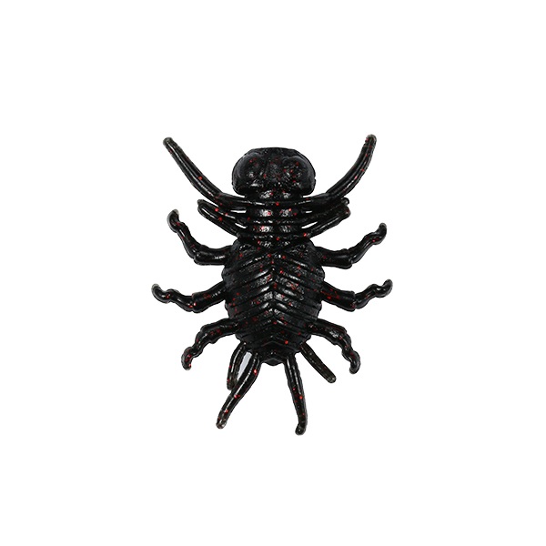 �y�l�R�|�X�Ώەi�z�f���I�iDUO) ���A���X�@�E���@�w�ԃR�P�O��