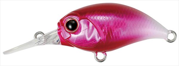 �y�l�R�|�X�Ώەi�z�f���I�i�c�t�n�j�@�e�g�����[�N�X�@�N���N���r�@���������O���[�e�[��