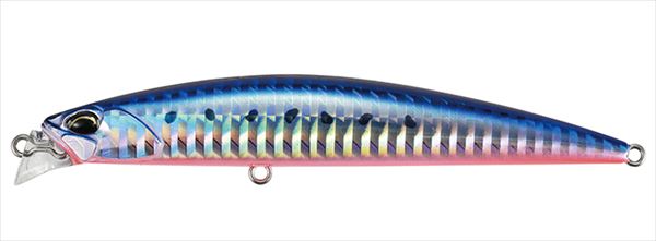 �f���I�i�c�t�n�j�@�r�[�`�E�H�[�J�[�@�A�N�V�I���X�����@�P�O�T�@�}�Y���C���V