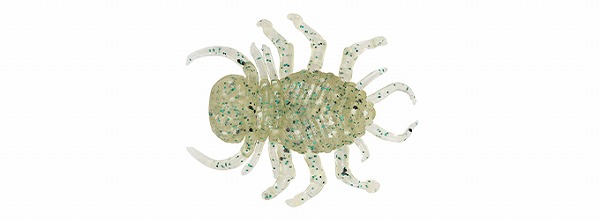 パピリオブッダ（オス、インド・ニルギリ産） パピリオブッダ（オス、インド・ニルギリ産）