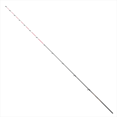 ����H�[ �J�Z���t �C�J�_�ƃJ�X�^���ւ���� CUSTOM-K ACTION 3 2013�N���f��