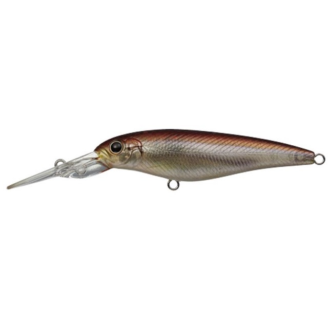 �G�o�[�O���[�� �E���g���X���b�W #410 RP�v���X�|�[�����J�T�M