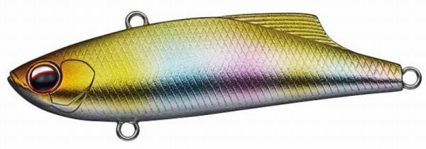 �G�o�[�O���[�� �V�[�o�X���A�[ �}�[�r�[70 #861 �╲�S�[���h�L�����f�B