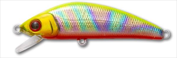 �t�H���X�g �A�C�t�B�b�V���e�s �G�L�X�g���J���[ �T�O�r �d�w-�O�X �Ƀ`���[�g