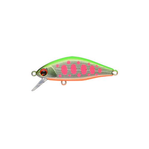 �y�l�R�|�X�Ώەi�z�A���Y�f�U�C�� (ima)�@���A�[�@�����������@�S�T�r�@�l�`�w�@���u�L