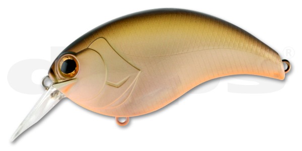 ���������i�f�v�X�j�@�C���H�[�N�@�R�D�O�@���O�R�@�z���C�Y���V���b�h�y���������z