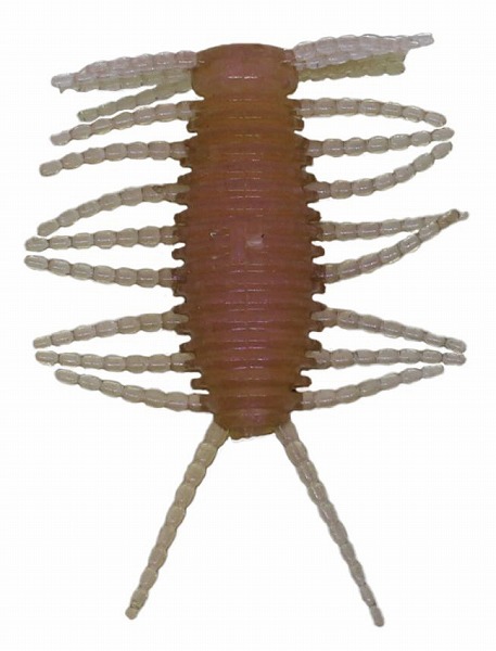 �y�l�R�|�X�Ώەi�z�G���W�� BABY-CHIN(�x�r�[�`��) 1.5�C���` #02 �f�b�h���[���J�T�M