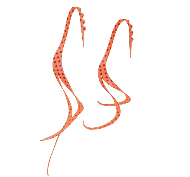 �y�󂠂�z���܂��� �^�C���o �⃉�o ���� �V���R���l�N�^�C �X���b�g�J�[���[ #33 ���b�h�X�|�b�g/�I�����W