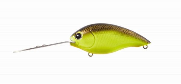 �_�C���@�s�D�c�D�n�C�p�[�N�����N�@�P�O�U�U�s���@�r�D�`�D�`���[�g