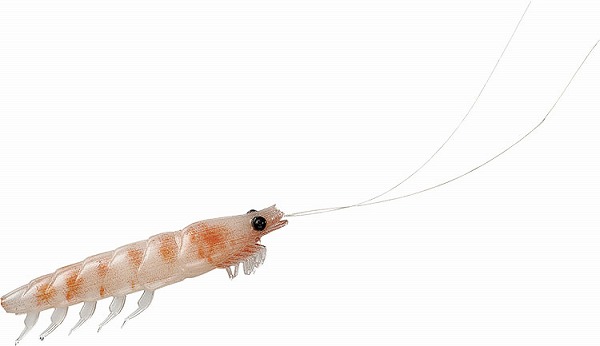 �y�l�R�|�X�Ώەi�z�_�C���@���K���A���I�L�A�~�@�l�@�{�C���I�L�A�~