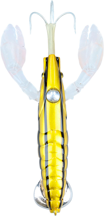 �_�C�� �d�|�� �}�_�NM �����؊C�V