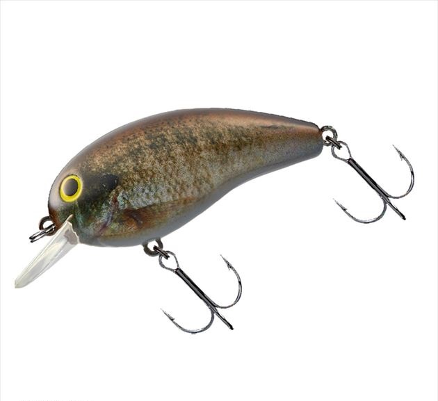 �y�l�R�|�X�Ώەi�z�_�C�� �o�X���A�[ �f�J�s�[�i�b�c2 DR ���A���u���[�M��