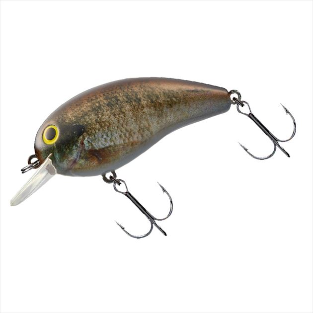 �y�l�R�|�X�Ώەi�z�_�C�� �o�X���A�[ �f�J�s�[�i�b�c2 SR ���A���u���[�M��