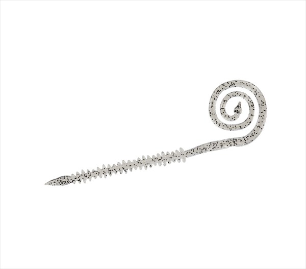 �y�l�R�|�X�Ώەi�z�_�C�� �g�咆��峃J�[���[7 �C�J�n�N���A