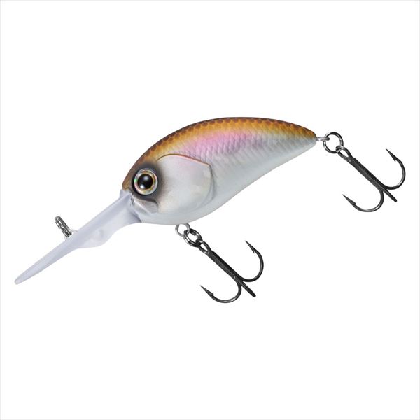 �_�C�� �o�X���A�[ �^�C�j�[�X�e�B�[�Y�N�����N 200 �}�b�g�z�����J�T�M