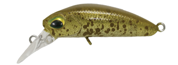 ���@���P�C�� �g���E�g�v���O �N�[�K ���A�����b�V�� C174