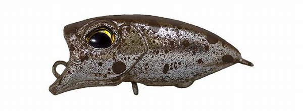 ���@���P�C�� �g���E�g�v���O ���I�� �J�j�X�e���X���b�V��