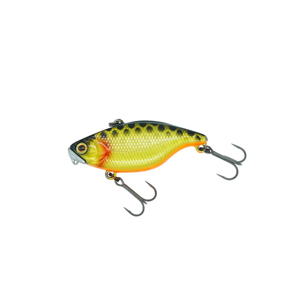 �f�B�X�^�C�� �o�X���A�[ TN50 TypeD SS DA�L���N��