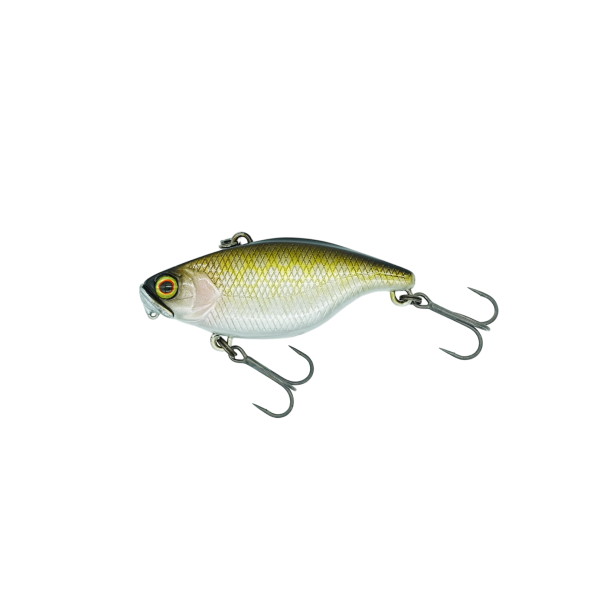 �f�B�X�^�C�� �o�X���A�[ TN50 TypeD SS ���؁y���������z