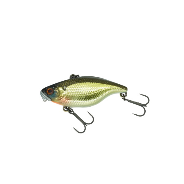 �f�B�X�^�C�� �o�X���A�[ TN50 TypeD SS ���A�N�V�����V�����p���S�[���h�y���������z