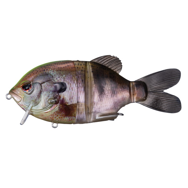 OSP �o�X���A�[ �h����127F K10�`���[�g�b�o�b�N���A���M��