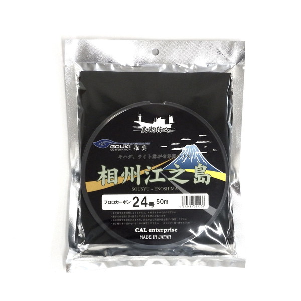 剛樹 ハリス 相州江之島(フロロカーボン) 24号【即日発送】: ライン