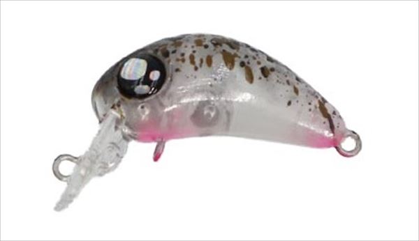 ���u���A�[ �g���E�g�v���O �`�F���V�[SS �n�����v